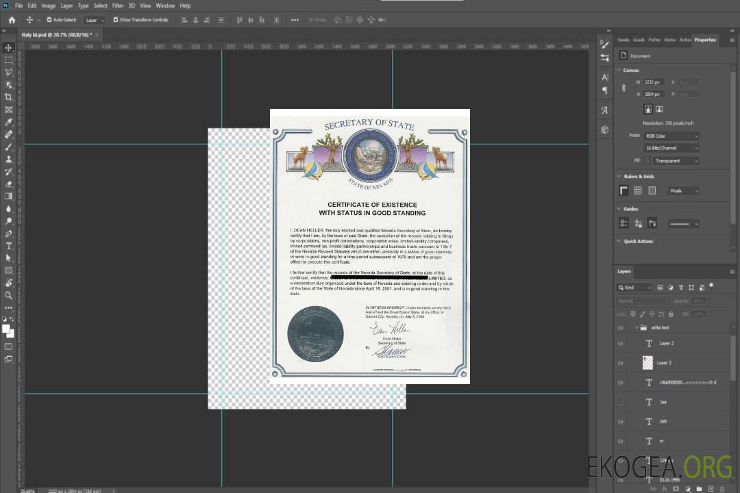 Certificat de bonne réputation USA Nevada template